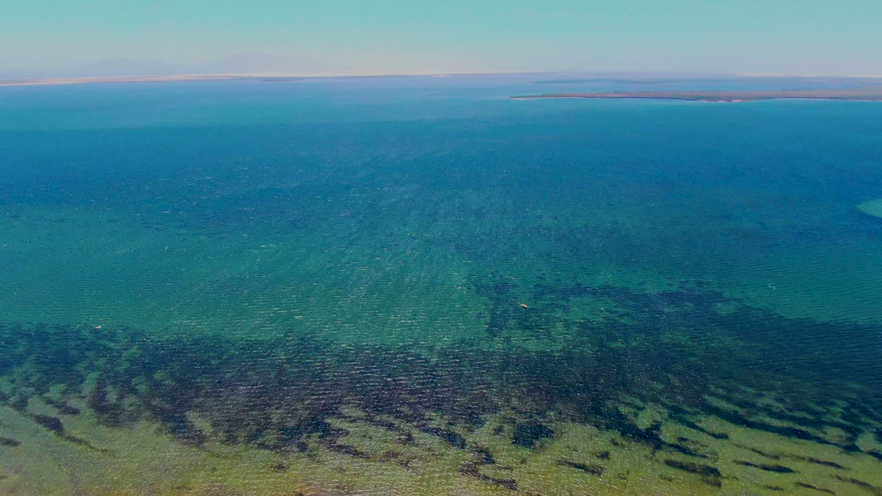 Shallow blue-green ocean with rippled surface and seabed visible below.