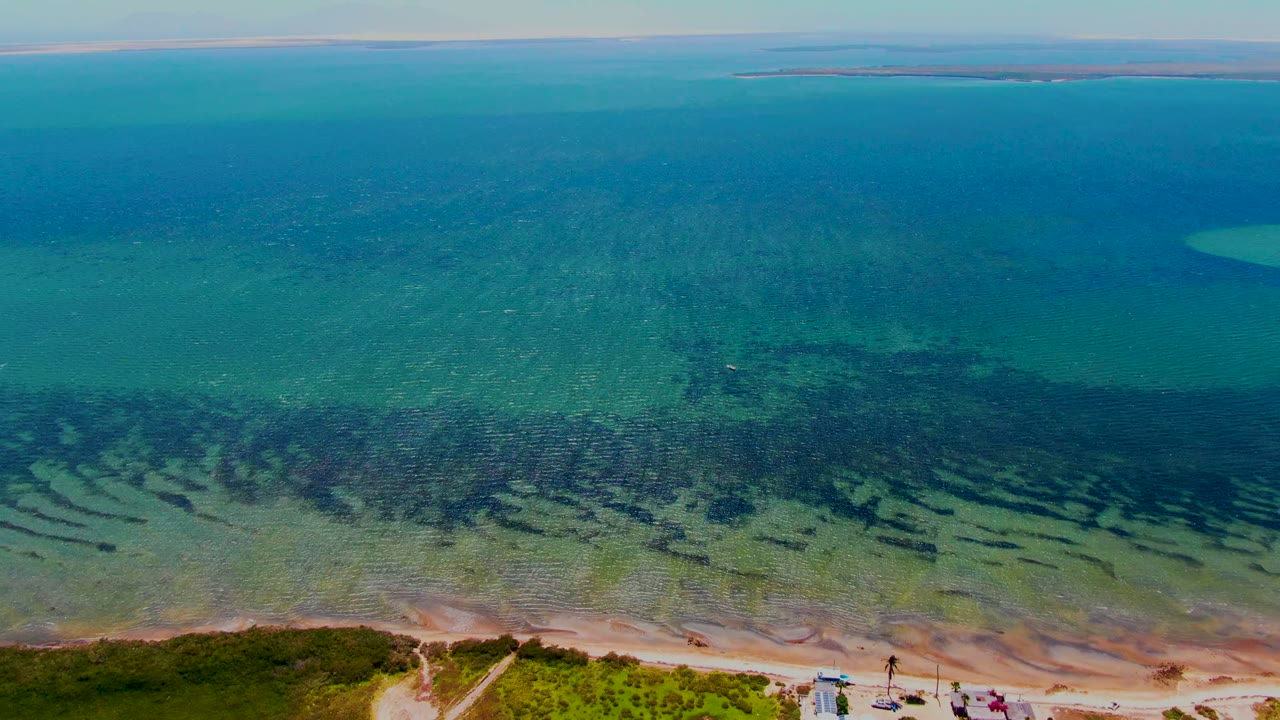 Aerial frame over San Carlos, Baja California Sur, with sandy beach and low greenery at the bottom, tiny visible people near the shore, clear turquoise water, dark seagrass, and distant land on the horizon.