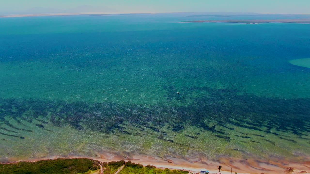 Aerial coastal water with beach edge, seagrass beds, and distant land