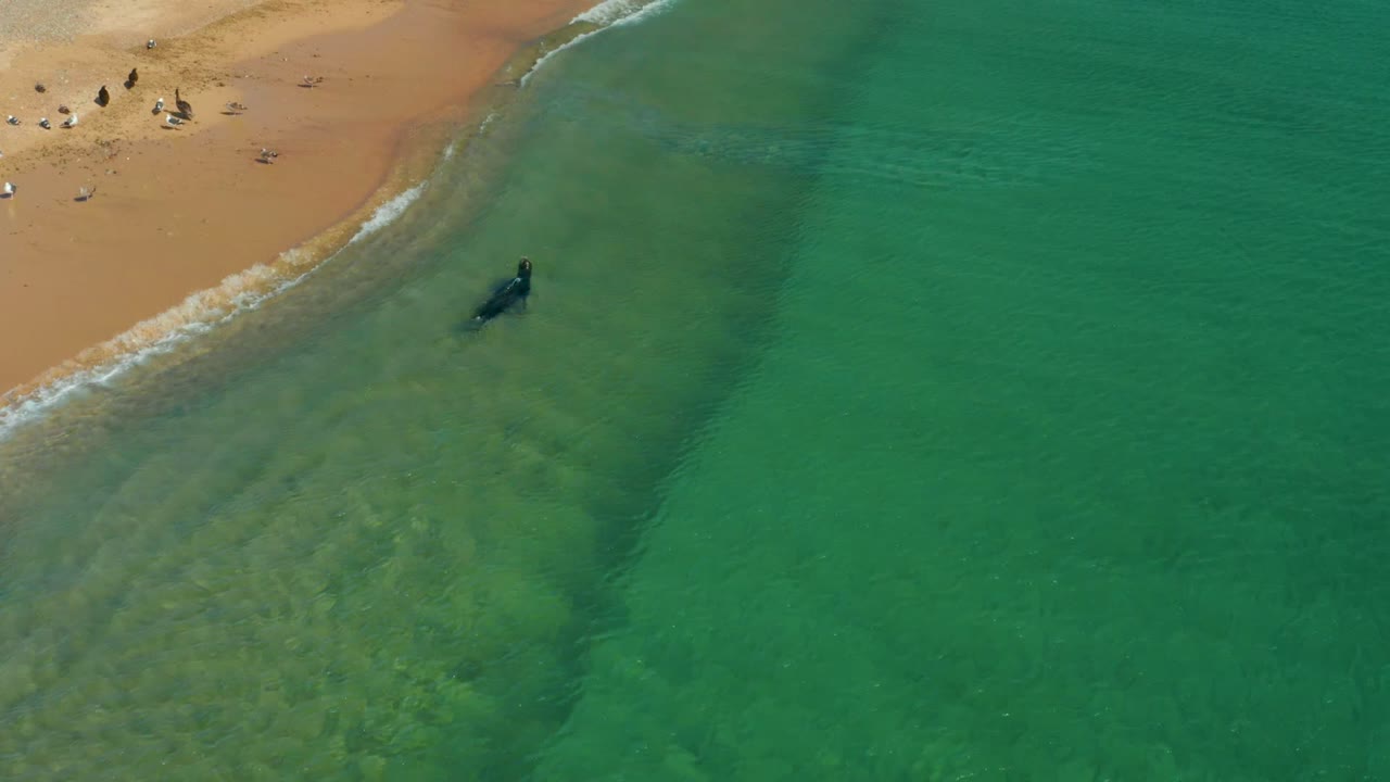 A swimmer is centered below the surf line in clear shallow water.