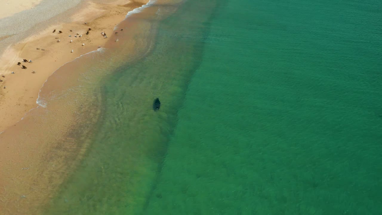 Aerial view at Los Frailes, Baja California Sur, showing a dark swimmer shape in shallow turquoise water below a sandy beach with small groups of people onshore.