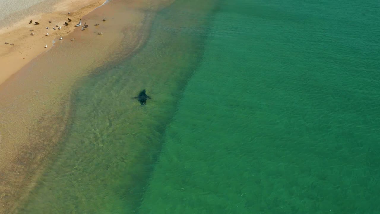 Aerial view at Los Frailes, Baja California Sur, showing the swimmer near a pale underwater sandbar, with small people visible on the upper-left beach.