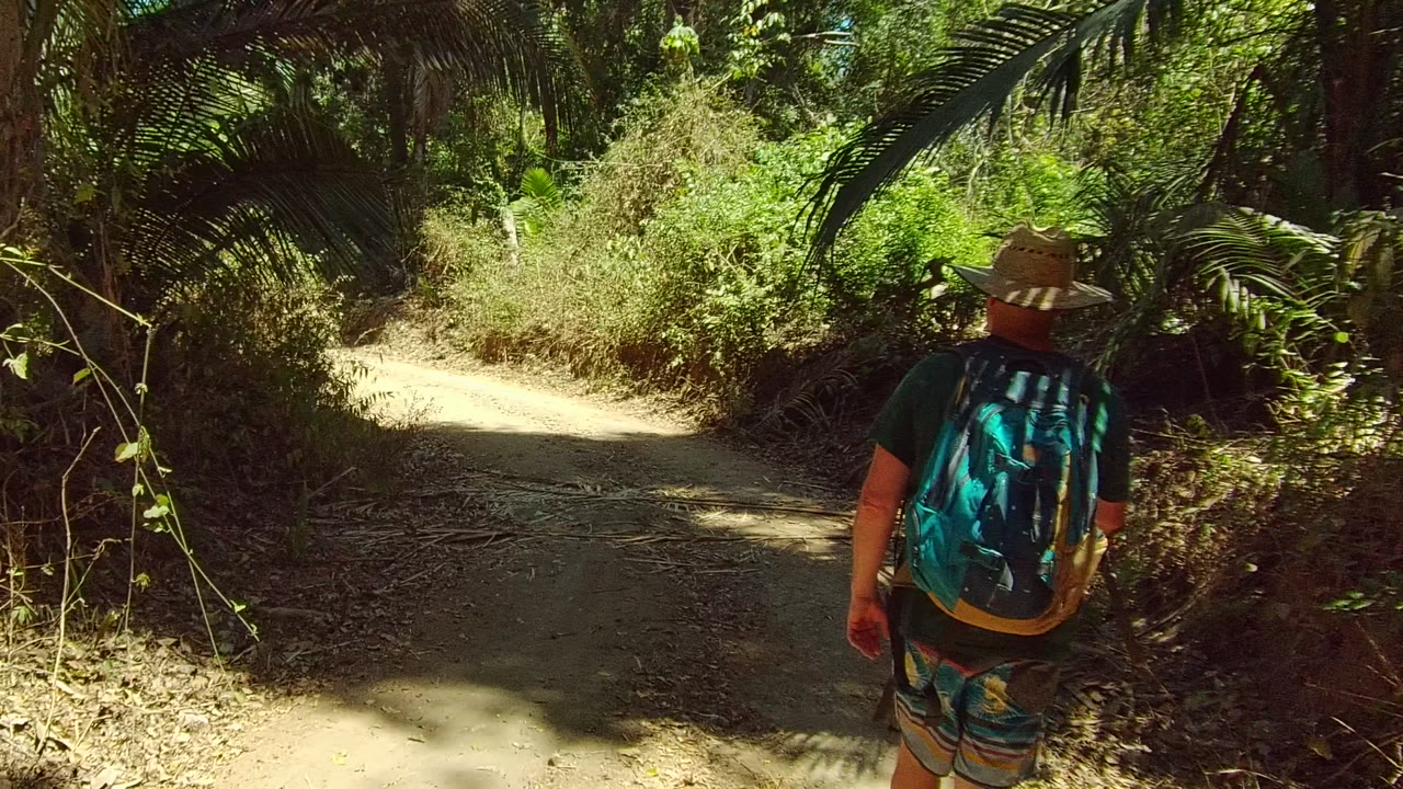 A backpacked person in a straw hat walks away on a narrow dirt path through dense greenery in San Pancho, Nayarit, Mexico.