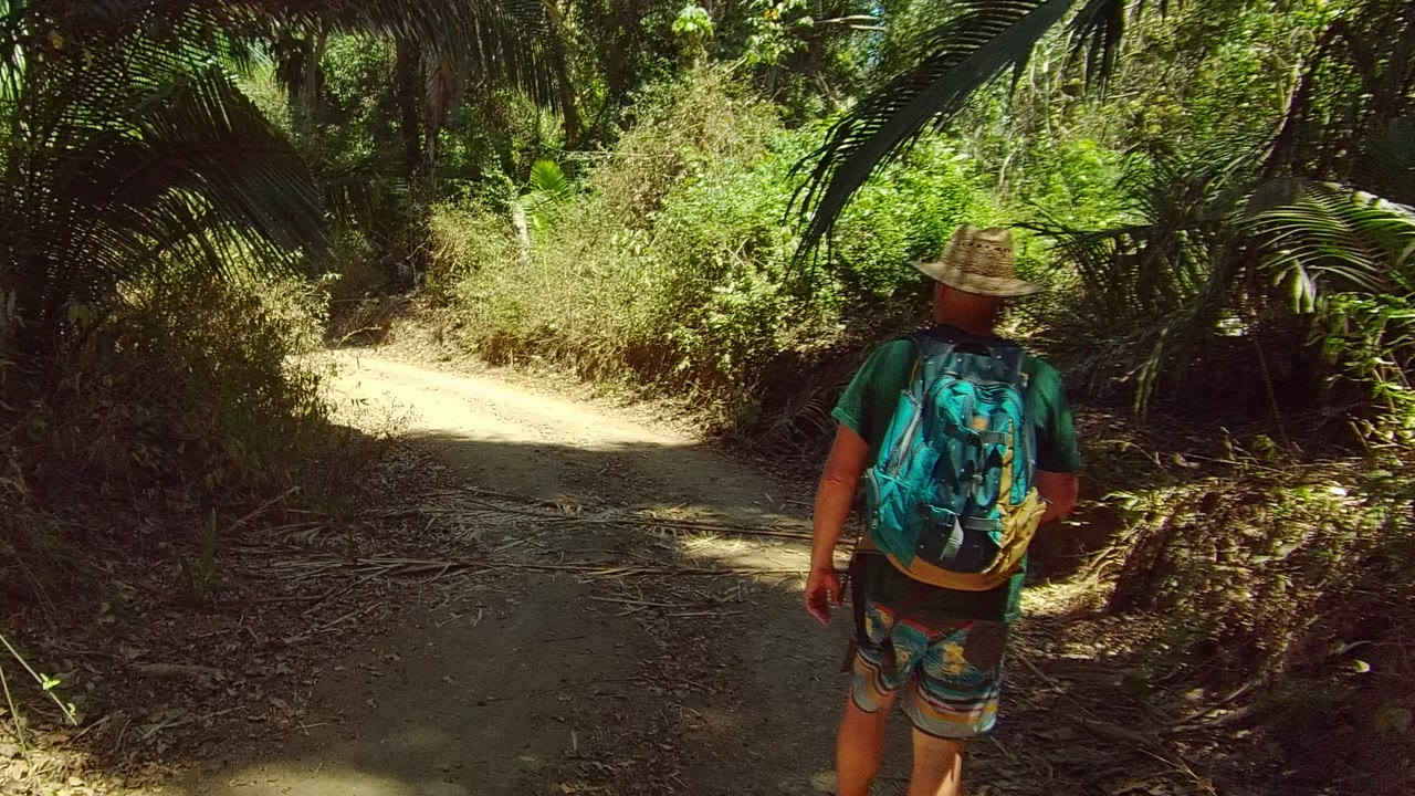 Hiker farther along a narrow dirt trail under palms.