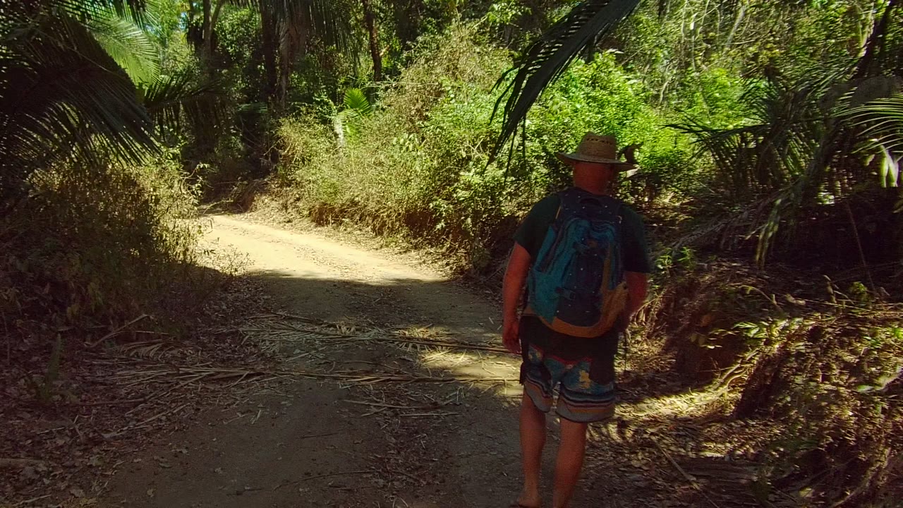 A lone backpacked hiker moves toward the right edge of the San Pancho dirt path as sunlight breaks through thick palm cover.
