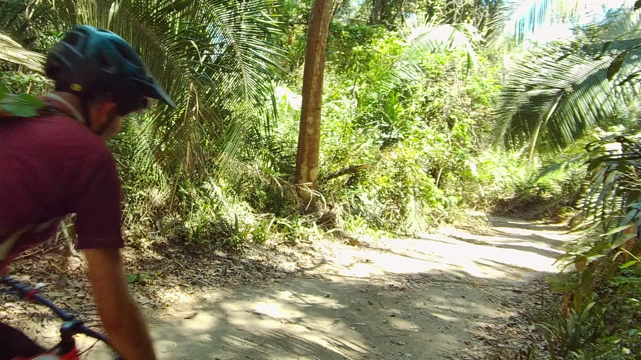A cyclist rides away down the narrow dirt path in San Pancho, with a dark backpack, helmet, red bicycle, and dense palms closing around the trail.