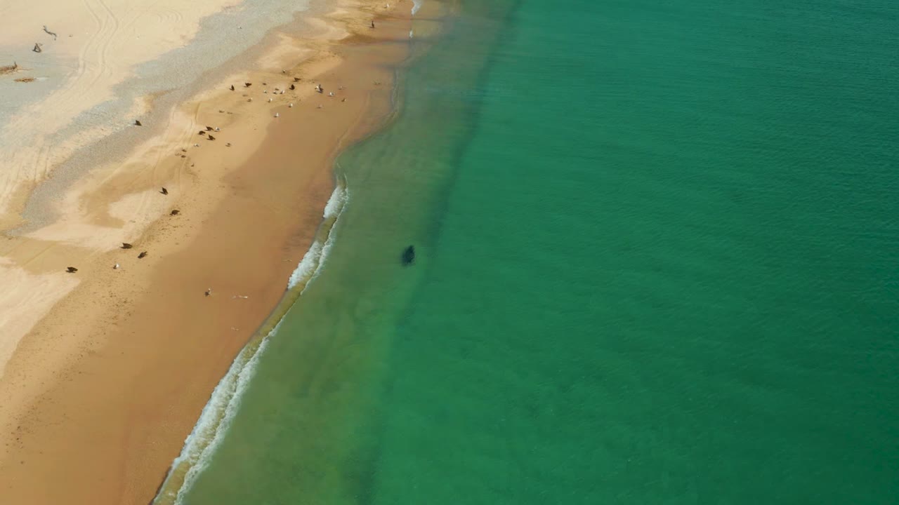 Aerial frame from Los Frailes, Los Cabos showing sand on the left, clear turquoise water on the right, a thin line of surf, and a person visible in shallow ocean water.