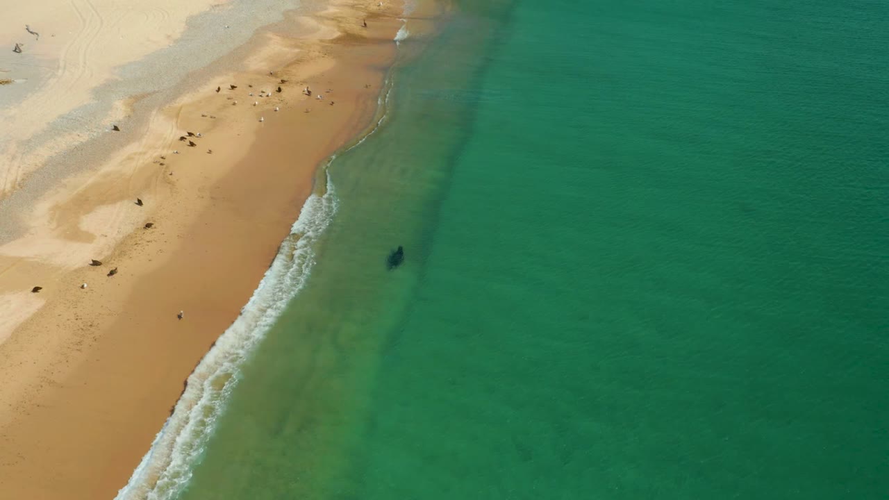 Overhead shoreline with waves breaking beside a person in shallow water.