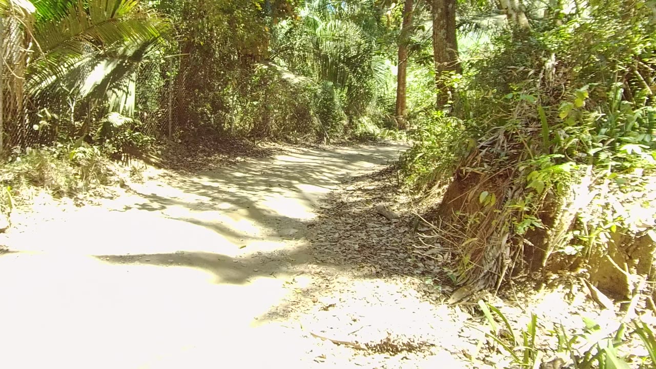 At 0:00, a pale dirt path curves through dense forest vegetation in San Pancho, Nayarit, Mexico, with dappled sun on the ground and no visible people.