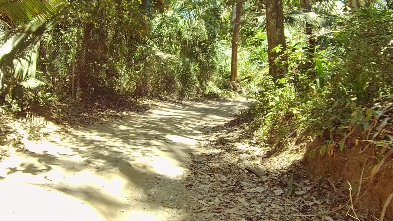 At 0:02, the path sits slightly right of center in San Pancho, Nayarit, with dense green vegetation on both sides, tall trunks behind it, and no visible people.