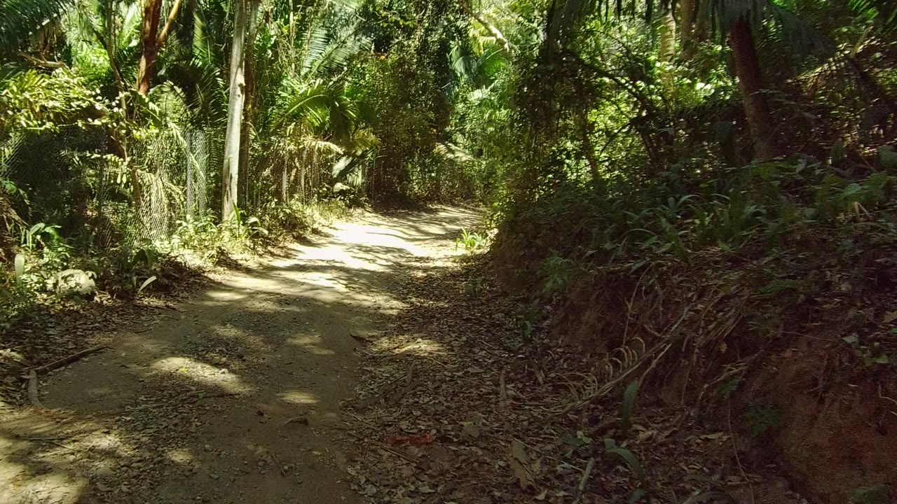Dirt path in San Pancho, Nayarit, Mexico, entering dense green foliage with a chain-link fence along the left side and no visible people.