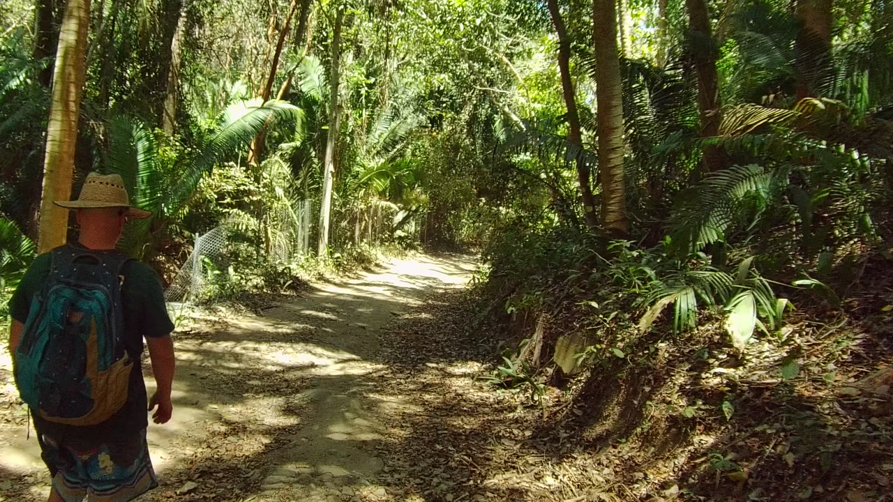 A hiker seen from behind walks along a dirt forest path in San Pancho, Nayarit, with dense greenery and dappled sunlight ahead.