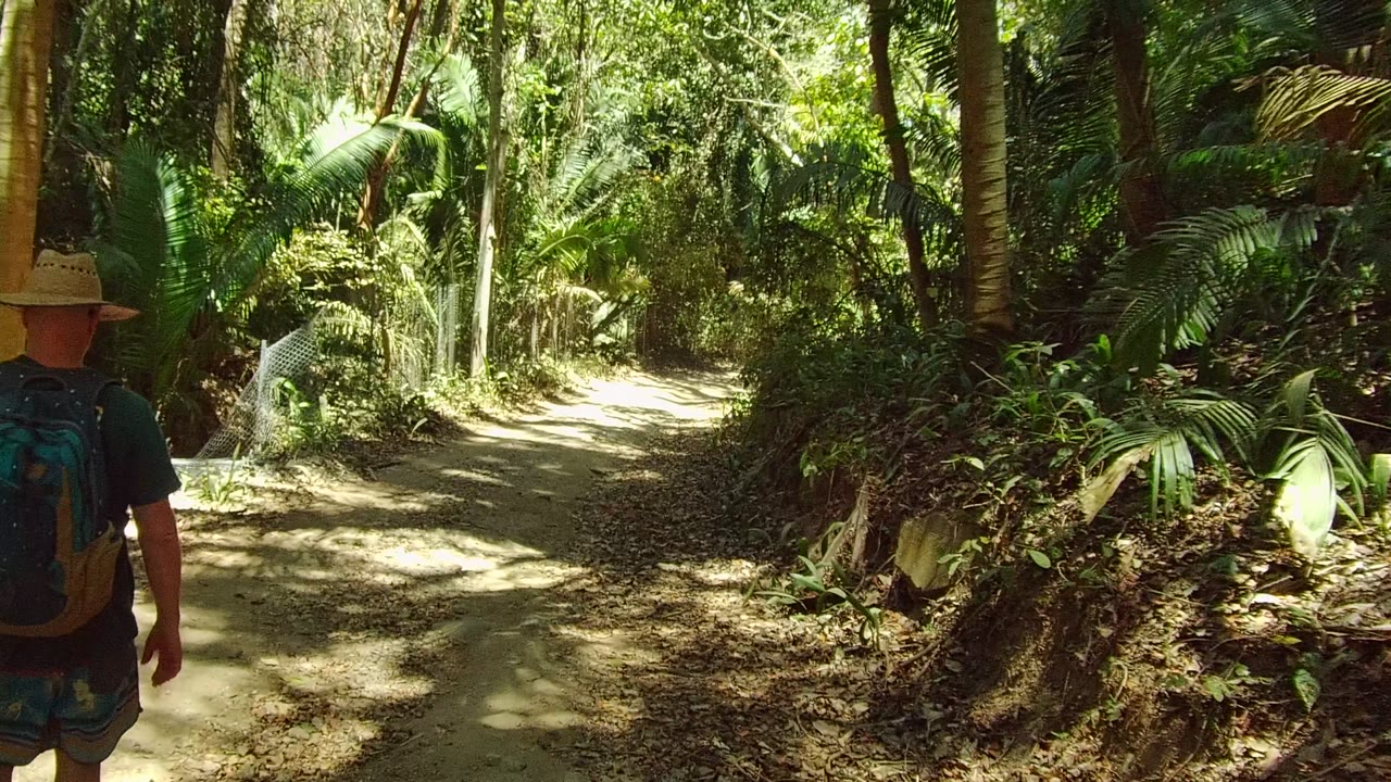 Backpack hiker farther along the forest trail