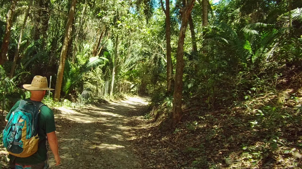 A hiker in a brimmed hat and teal backpack walks away on a dirt forest path in San Pancho, Nayarit, Mexico, with dense foliage and dappled sunlight ahead.