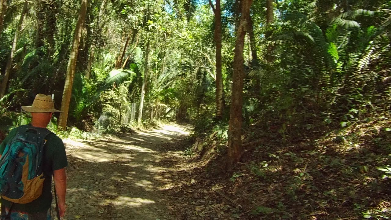 Backpack hiker farther along a dirt path through dense greenery.