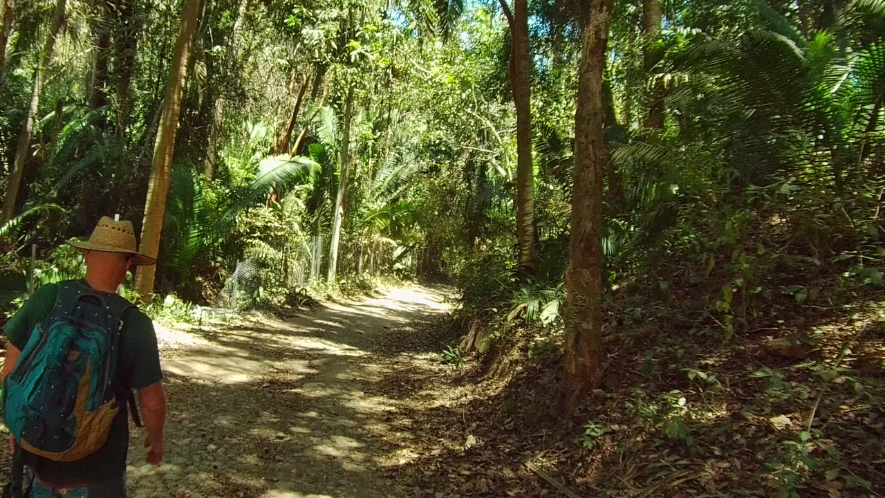 A rear view of the hiker on the left side of the frame shows the San Pancho dirt trail opening into brighter foliage, with thick green plants along both edges.