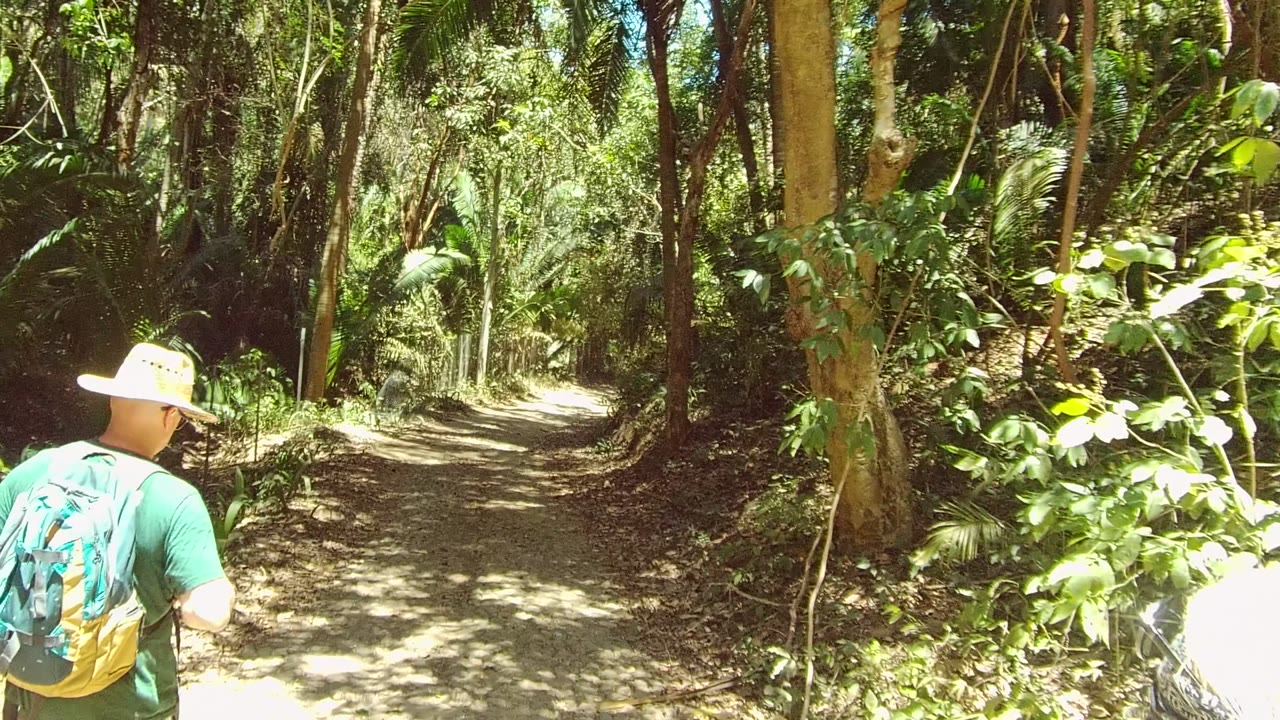 Hiker with teal backpack walking away on a forest dirt path.