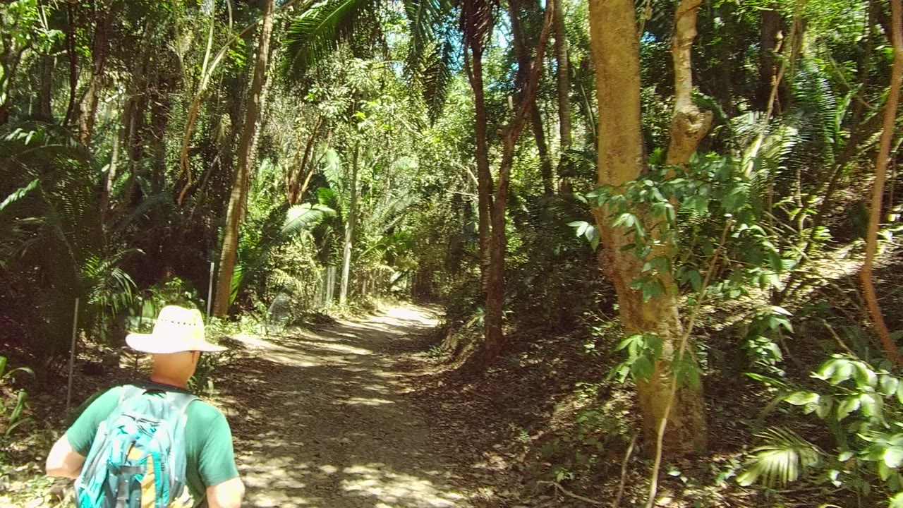 In San Pancho, Nayarit, the hiker appears on the right side of the frame while the dirt path continues ahead under tall trees and bright canopy light.