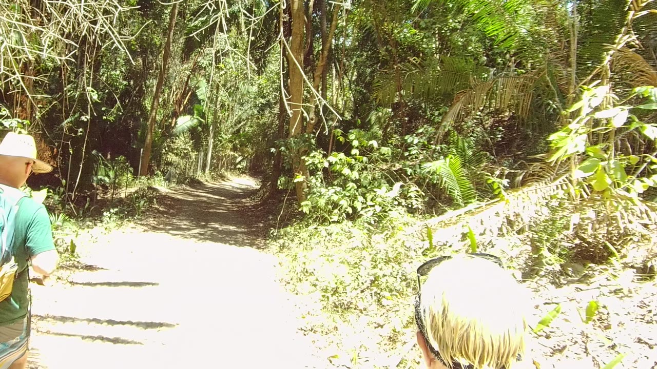 People walk along a sunlit forest dirt path in San Pancho, Nayarit, Mexico, with a hat-wearing person partly visible at the left edge and dense trees ahead.