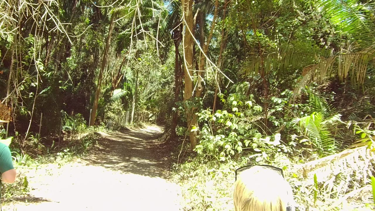 The San Pancho forest path continues into dense shade, with only partial views of people at the bottom edge and bright green foliage catching sunlight on the sides.