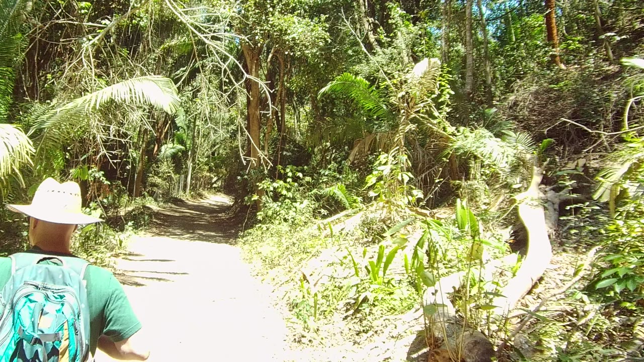 At the start of the San Pancho, Nayarit clip, a hiker in a wide-brim hat and blue backpack is partly cropped at left while walking into a sunlit forest path.