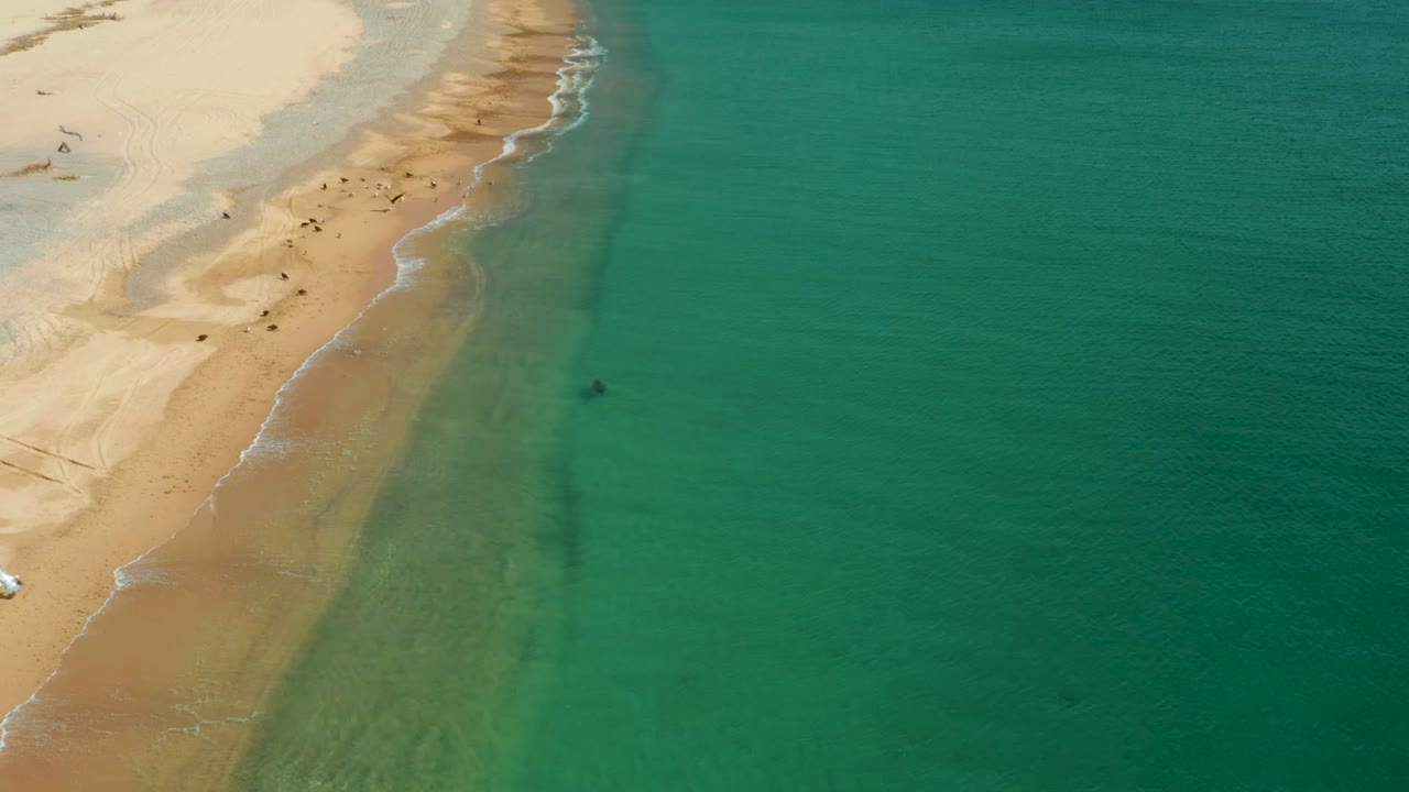 Aerial frame over Los Frailes, Los Cabos, showing pale sand at left, clear turquoise water at right, a diagonal shoreline, and small beachgoers near the upper beach.