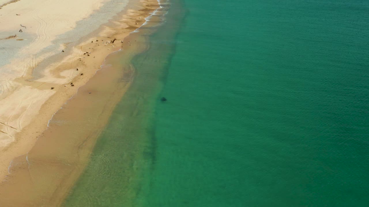 Aerial frame from Los Frailes, Los Cabos, with bright beach sand along the left edge, calm turquoise ocean filling the right side, and tiny beachgoers near the waterline.