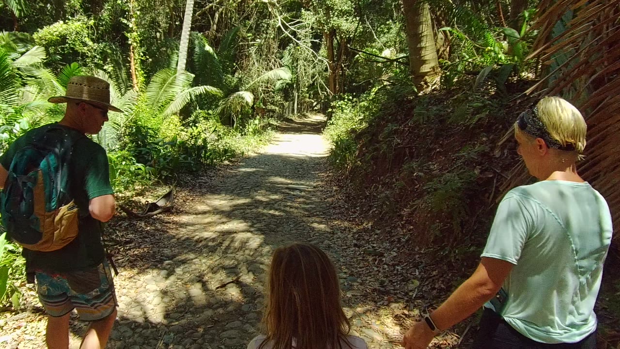Woman and child follow a man along a green forest path