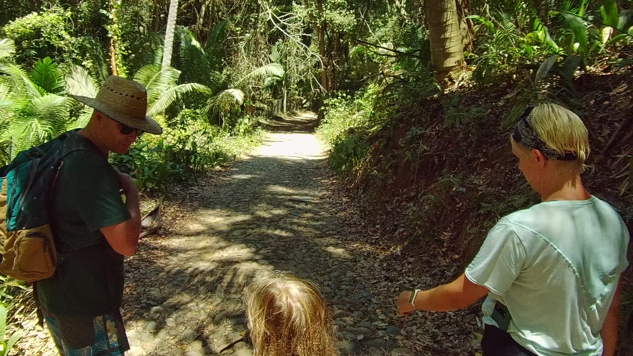 In San Pancho, Mexico, the group continues away from camera with the man near the right side, the woman in the foreground, and the child low in frame on a forest path lit by patches of sun.