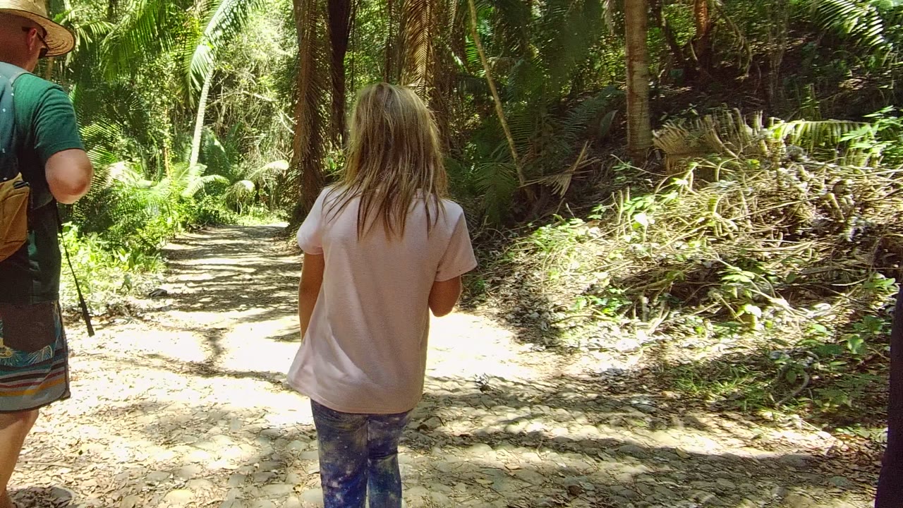 Child walking ahead on a bright dirt trail