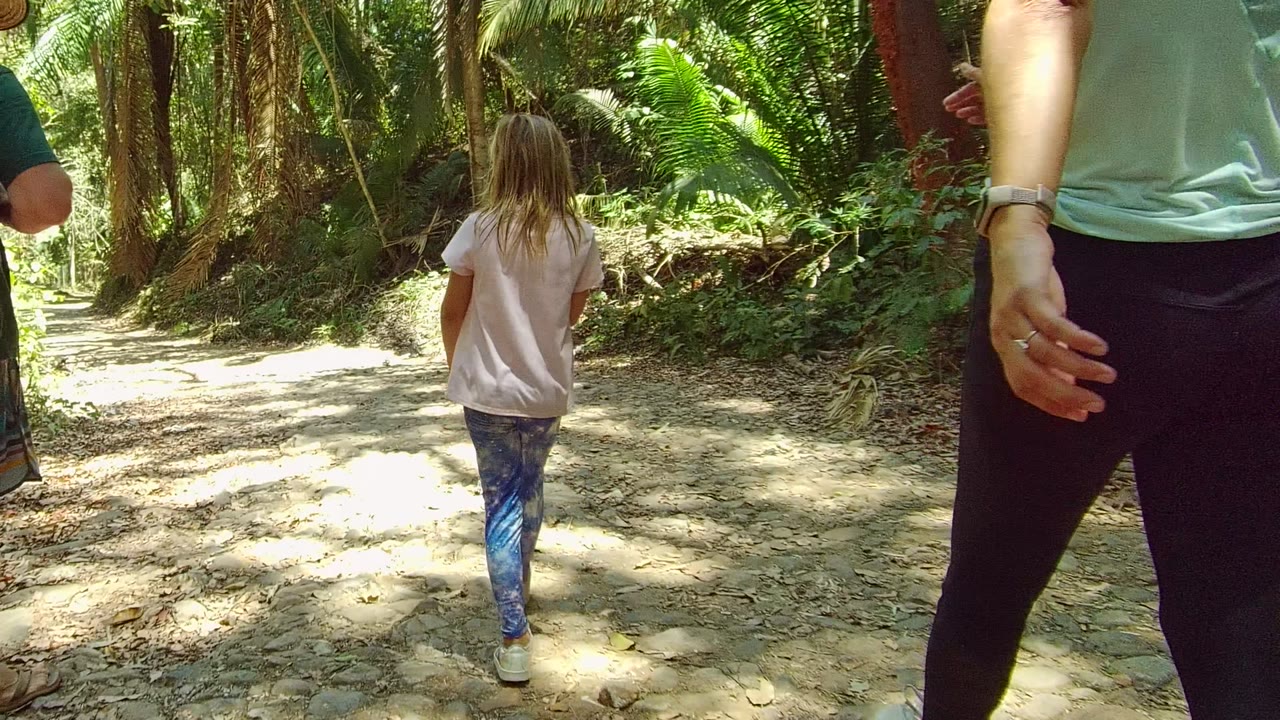 Child centered on a forest path with an adult close in the foreground.