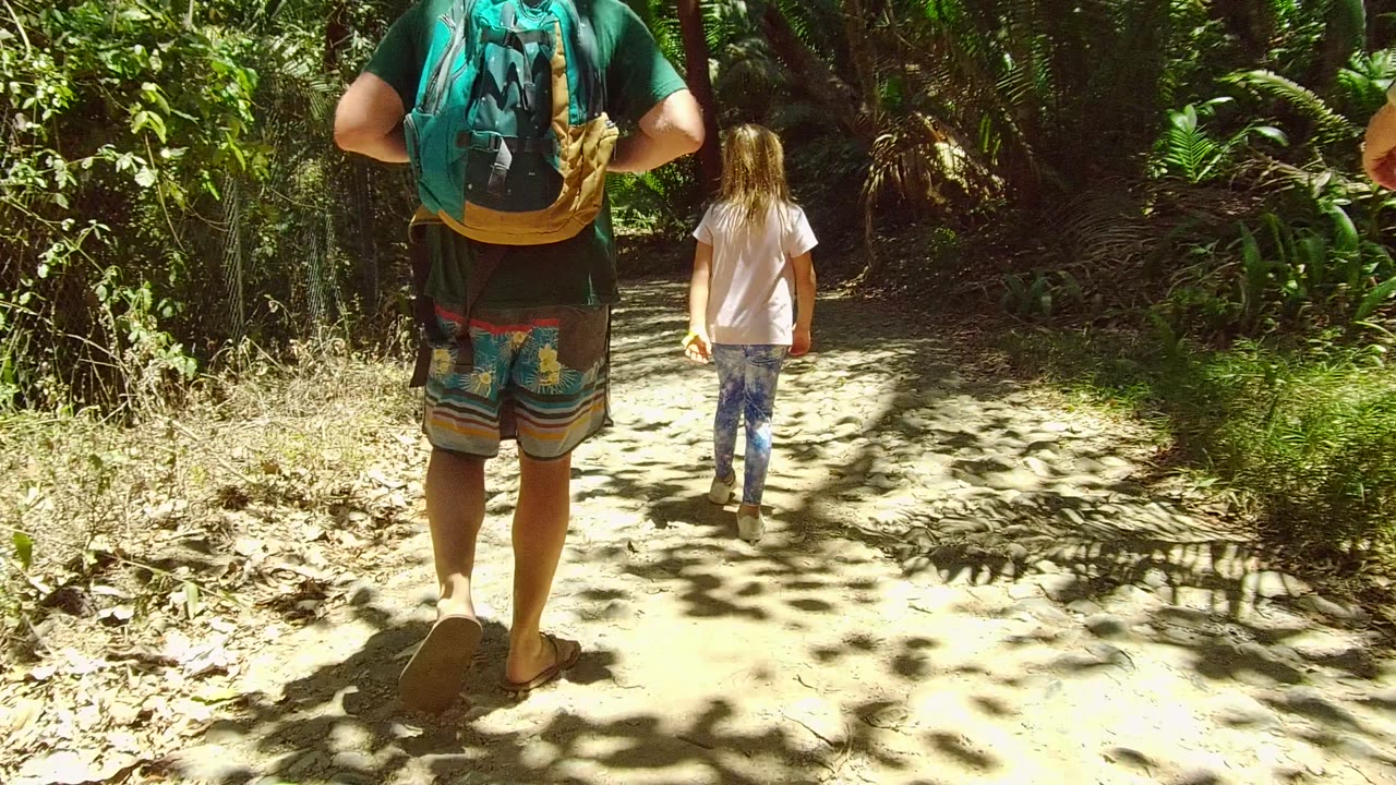 In San Pancho, Nayarit, Mexico, an adult with a teal backpack follows a child along a pale dirt trail under dense green forest shade.