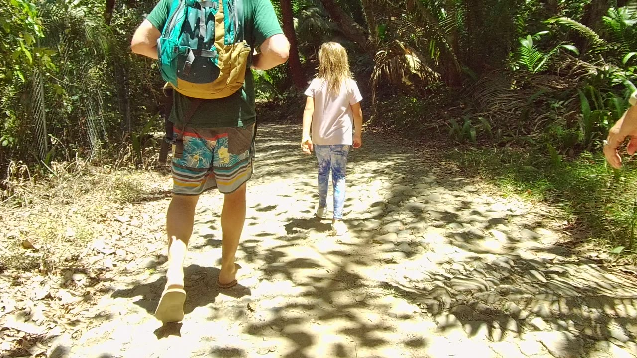 Backpack-wearing adult and child farther along a sunlit forest path.