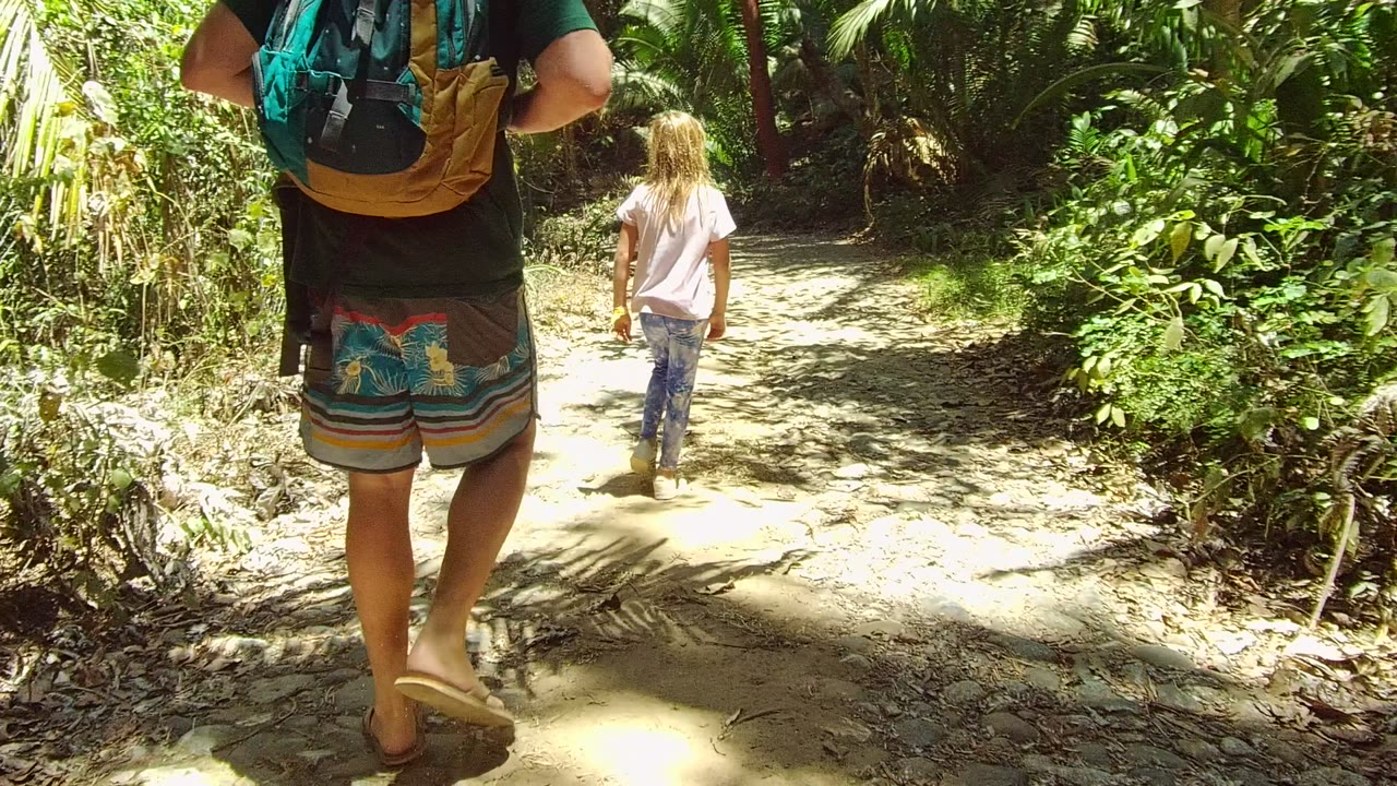 In San Pancho, Nayarit, Mexico, an adult with a teal backpack and a child walk away along a sunlit dirt forest trail bordered by dense green plants.