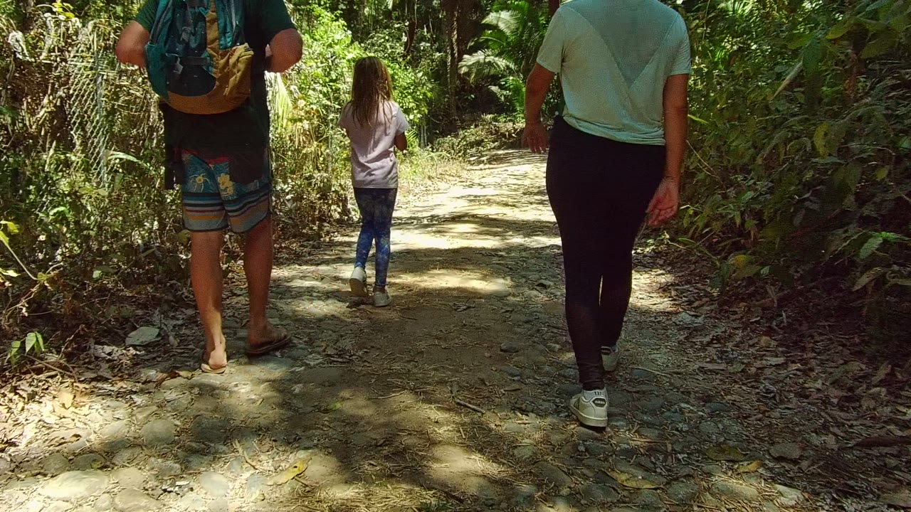 Adult and child ahead on a sunlit forest path.