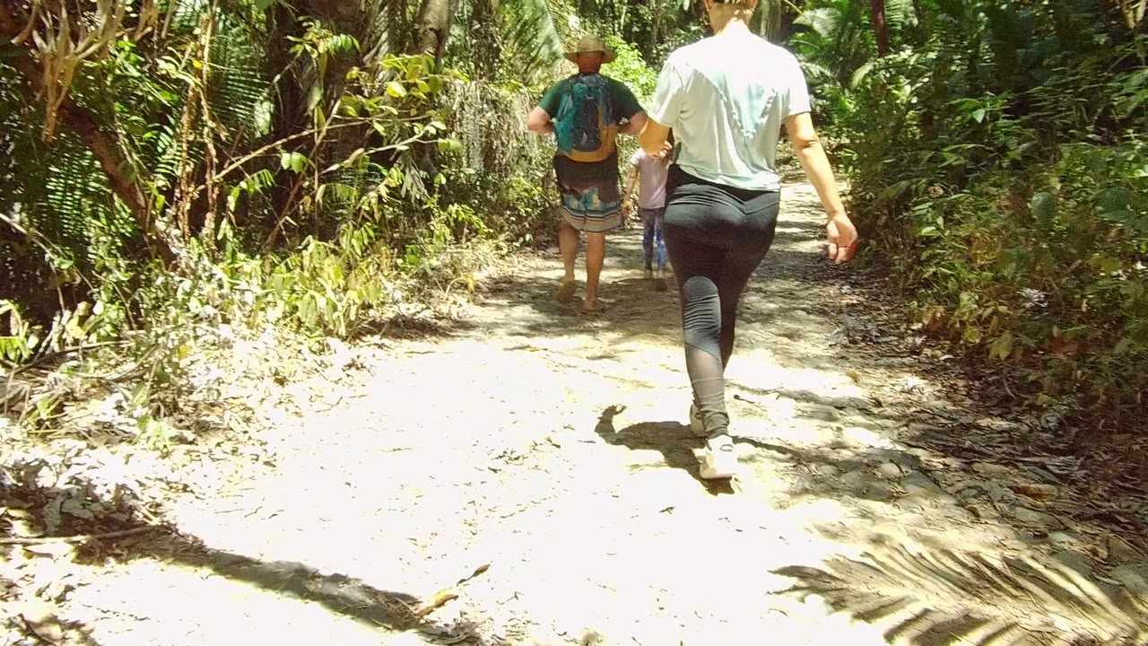 Three walkers move deeper into the San Pancho trail scene, passing from shade into a brighter patch of sunlight bordered by thick green plants.