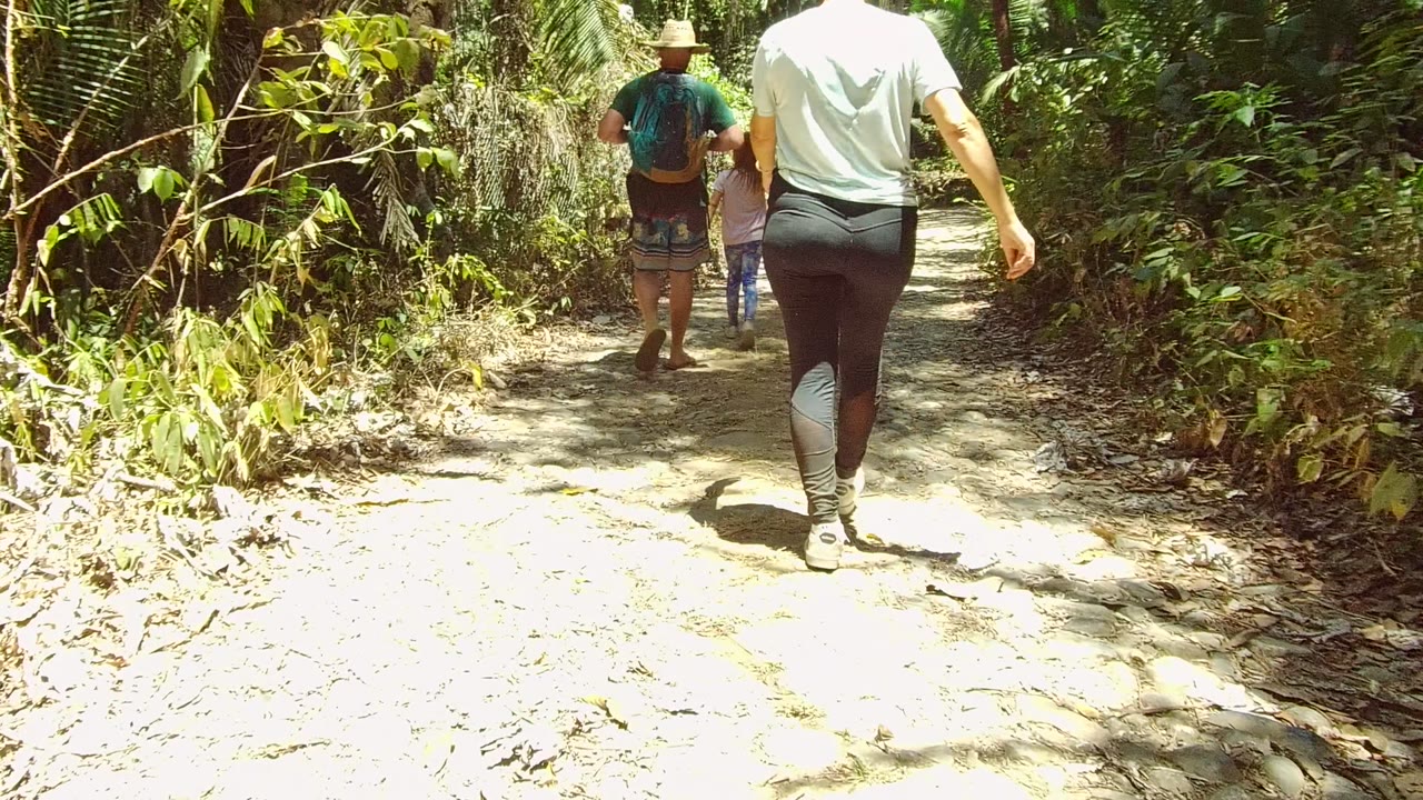 Hikers seen from behind on a leafy dirt path.