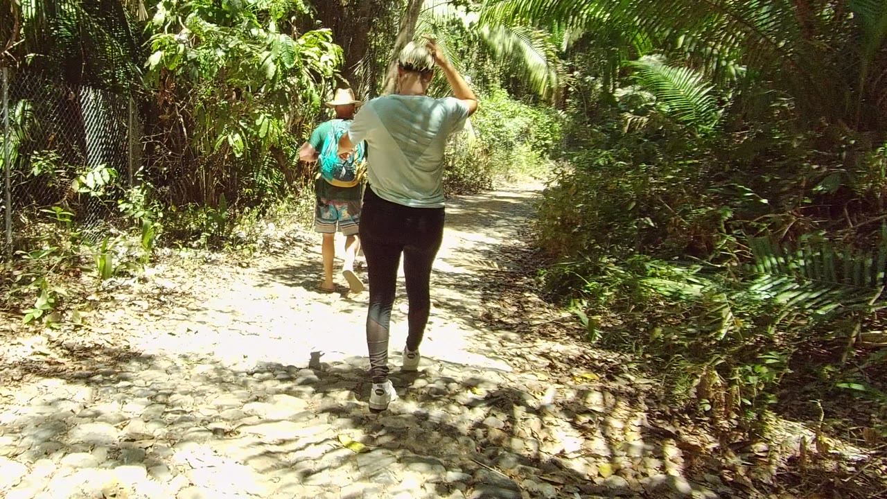 An adult walks behind another adult and a child on the forest trail in San Pancho, Nayarit, Mexico, with strong sunlight breaking through the canopy.