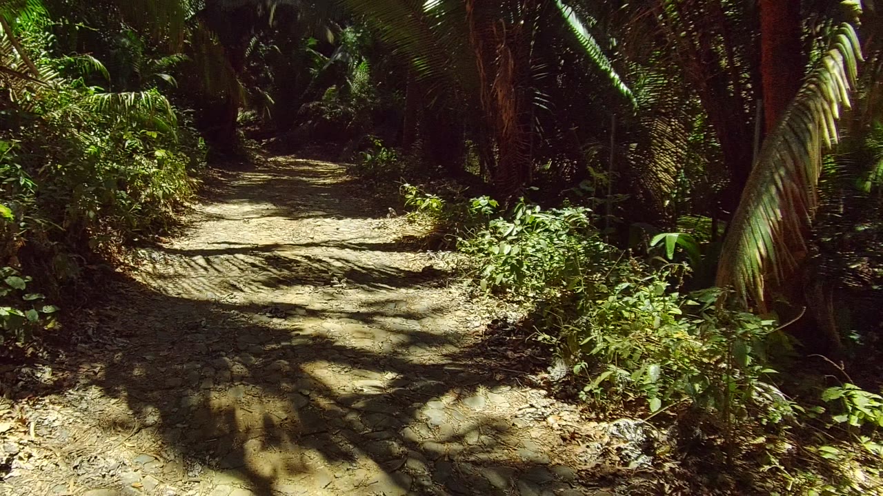 The dirt path in San Pancho, Nayarit recedes into darker tropical foliage, with strong shadows crossing the uneven ground and no visible people.