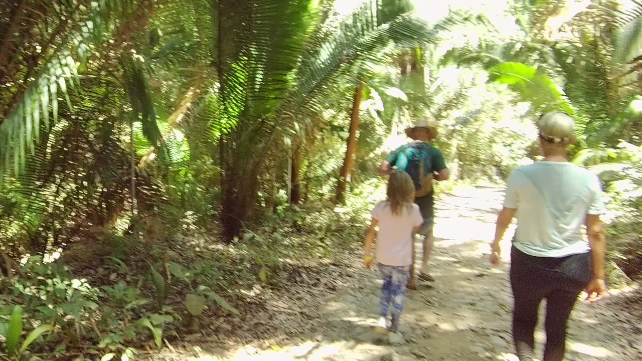 A child and two adults walk away along a dirt forest trail in San Pancho, Nayarit, Mexico, with palm foliage and dappled sunlight around them.