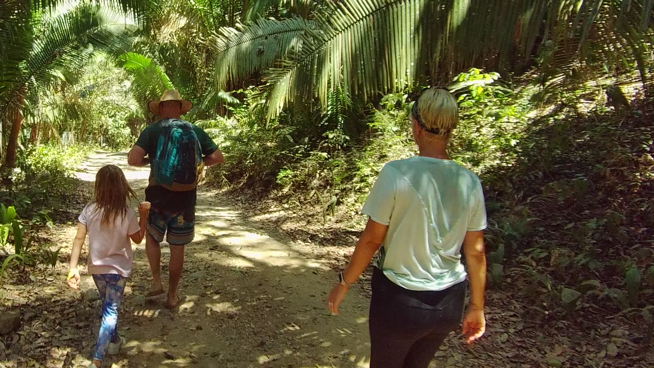 Child and adult ahead on a bright forest path with another adult behind.