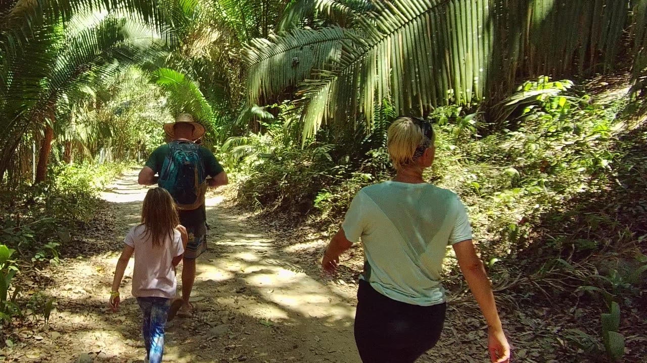 The woman is closest to camera with her back visible as the man and child continue farther ahead on the curving dirt trail in San Pancho, Nayarit forest.