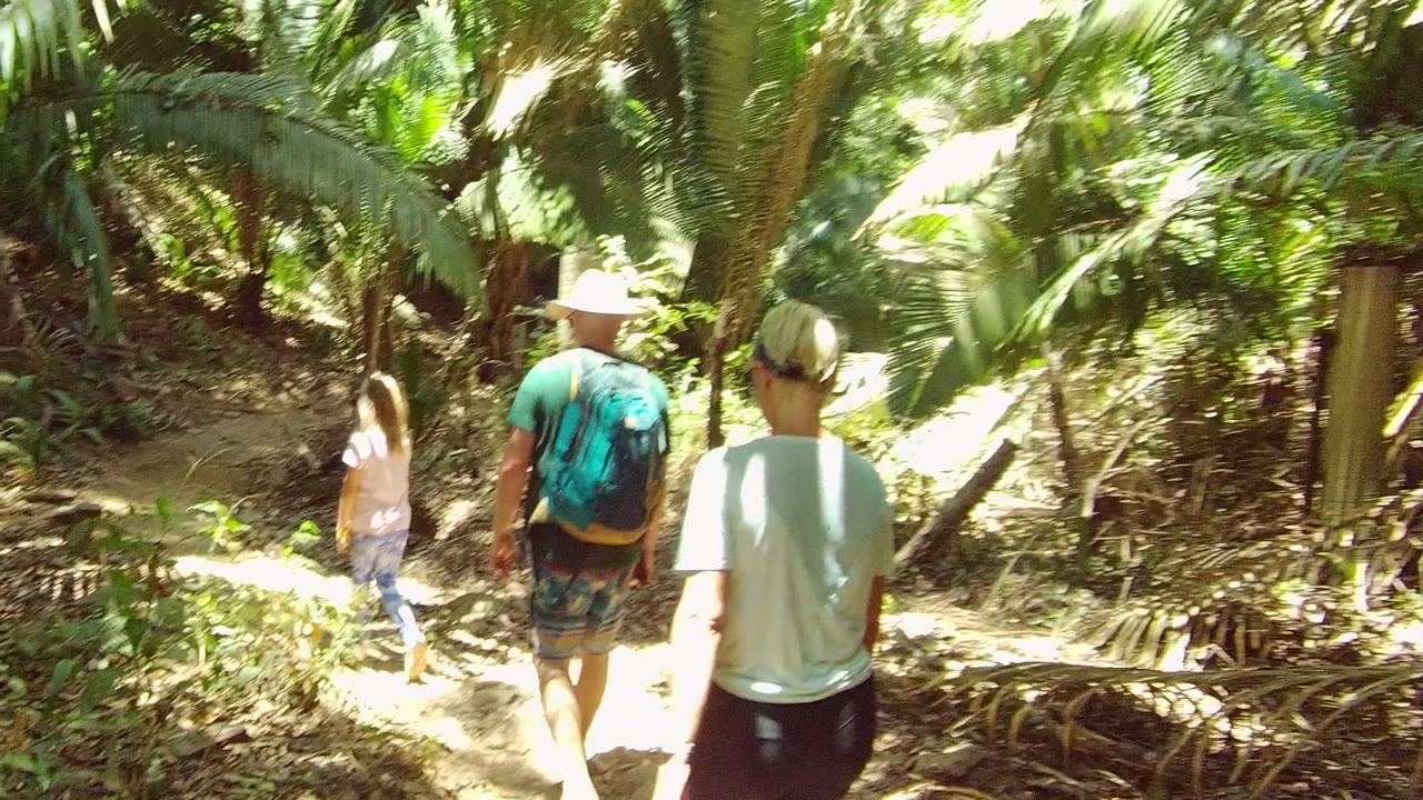 Three people walk away from the camera on a shaded San Pancho forest path, with palm fronds and bright sun patches around them.