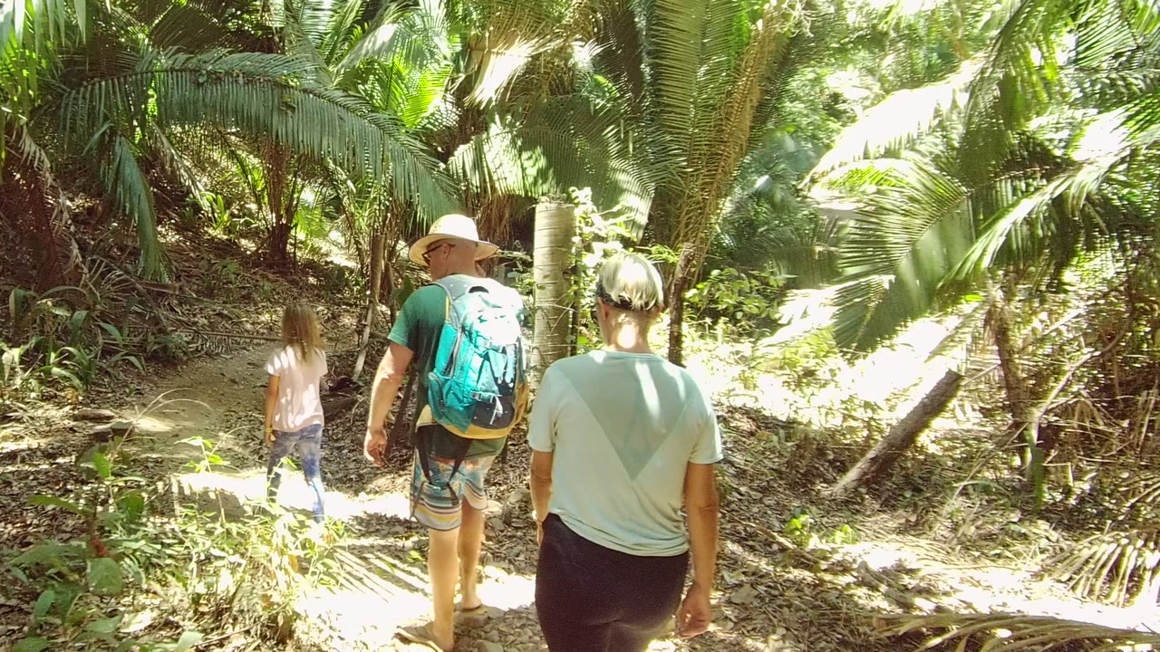 Hikers continuing along a leafy dirt path