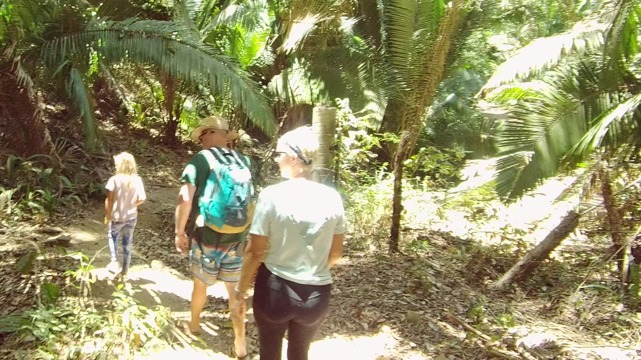The group is farther down the San Pancho dirt path, with the child ahead and two adults framed by bright palm leaves and forest shade.