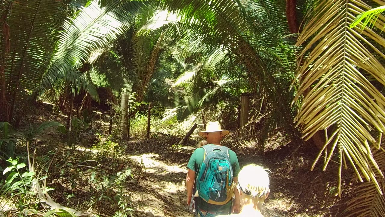 At the start of the San Pancho, Nayarit clip, an adult in a straw hat and backpack walks away on a narrow dirt trail under palm fronds.