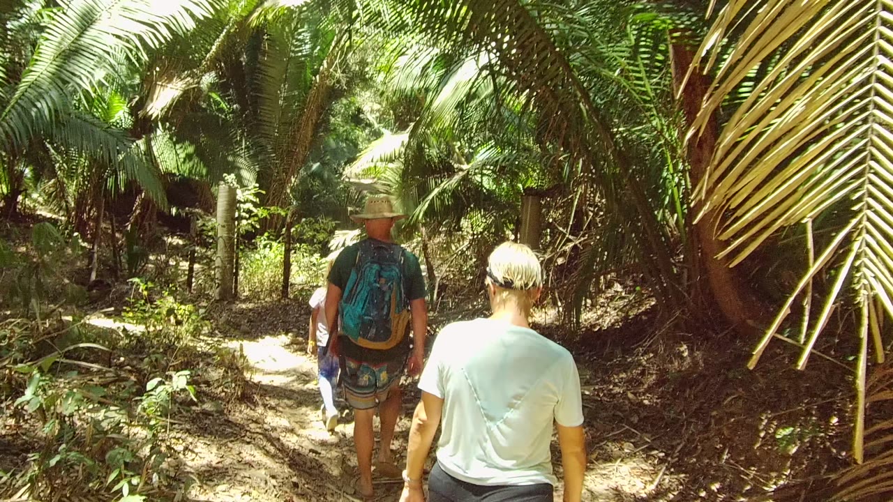 The walkers continue deeper into the San Pancho, Nayarit trail, with bright sun on the dirt path and thick palm leaves framing both sides.