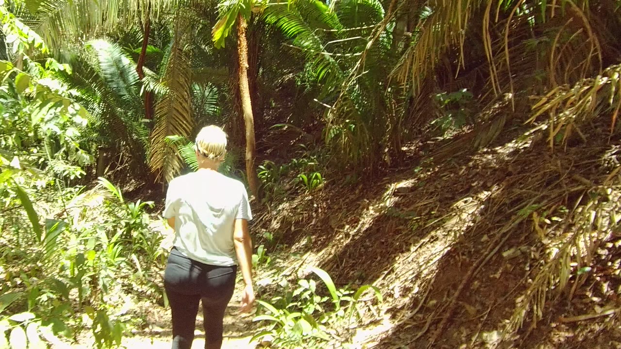 A person in a light shirt walks away on a narrow forest trail in San Pancho, Nayarit, Mexico, with palm fronds, dry leaves, and bright sun patches around the path.