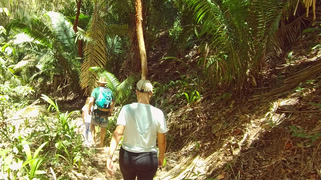 Two walkers continue away on the San Pancho forest trail, one wearing a hat and turquoise backpack while the nearer person follows through strong filtered sunlight.