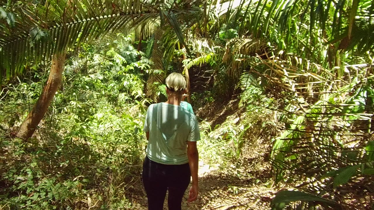 A person walks away along a shaded dirt path through dense green foliage in San Pancho, Nayarit, Mexico, with palm fronds hanging across the top of the frame.
